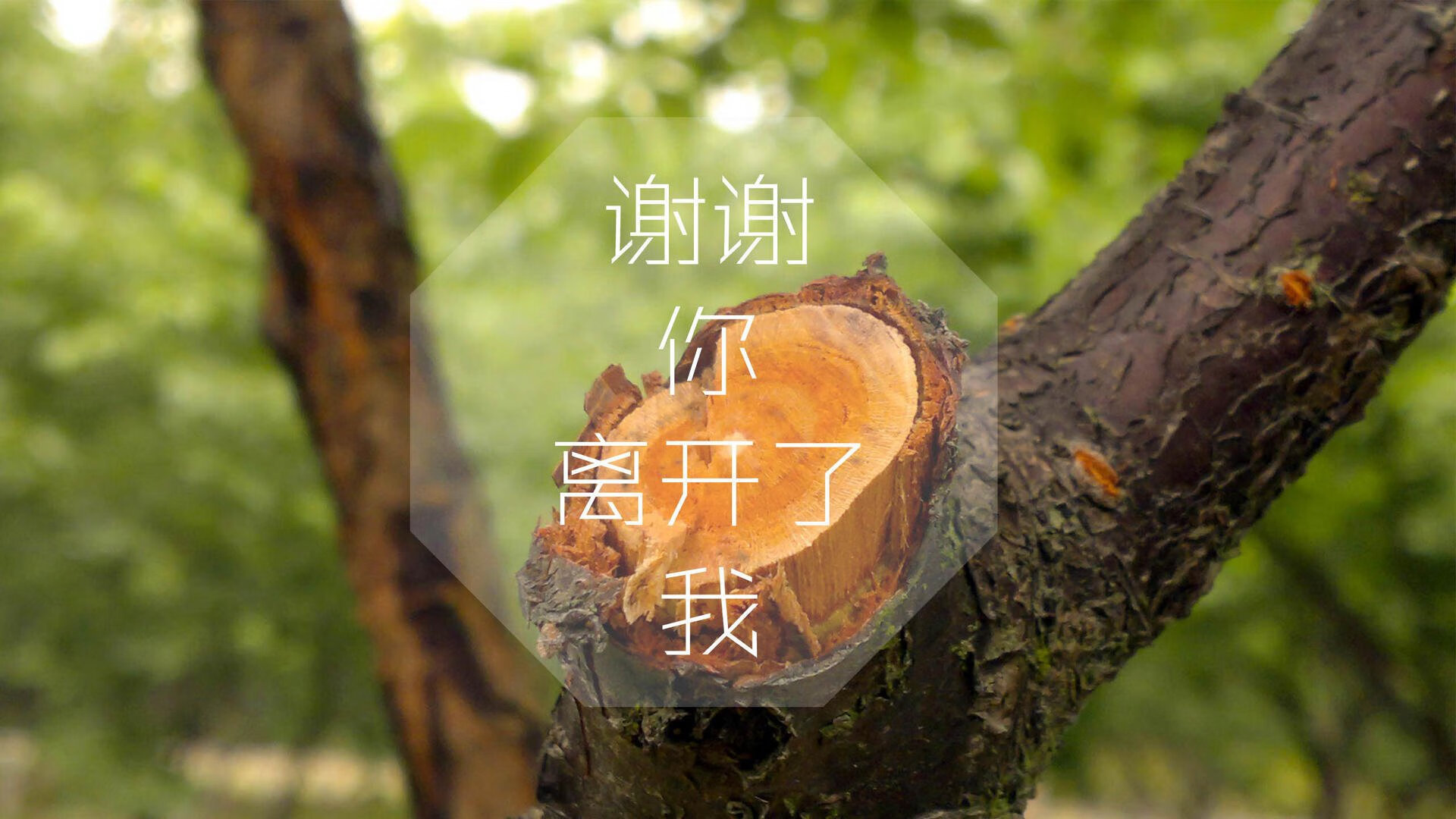 迈阿密热火“铁血防守”，季后赛有望打破所有纪录！，迈阿密热火队员