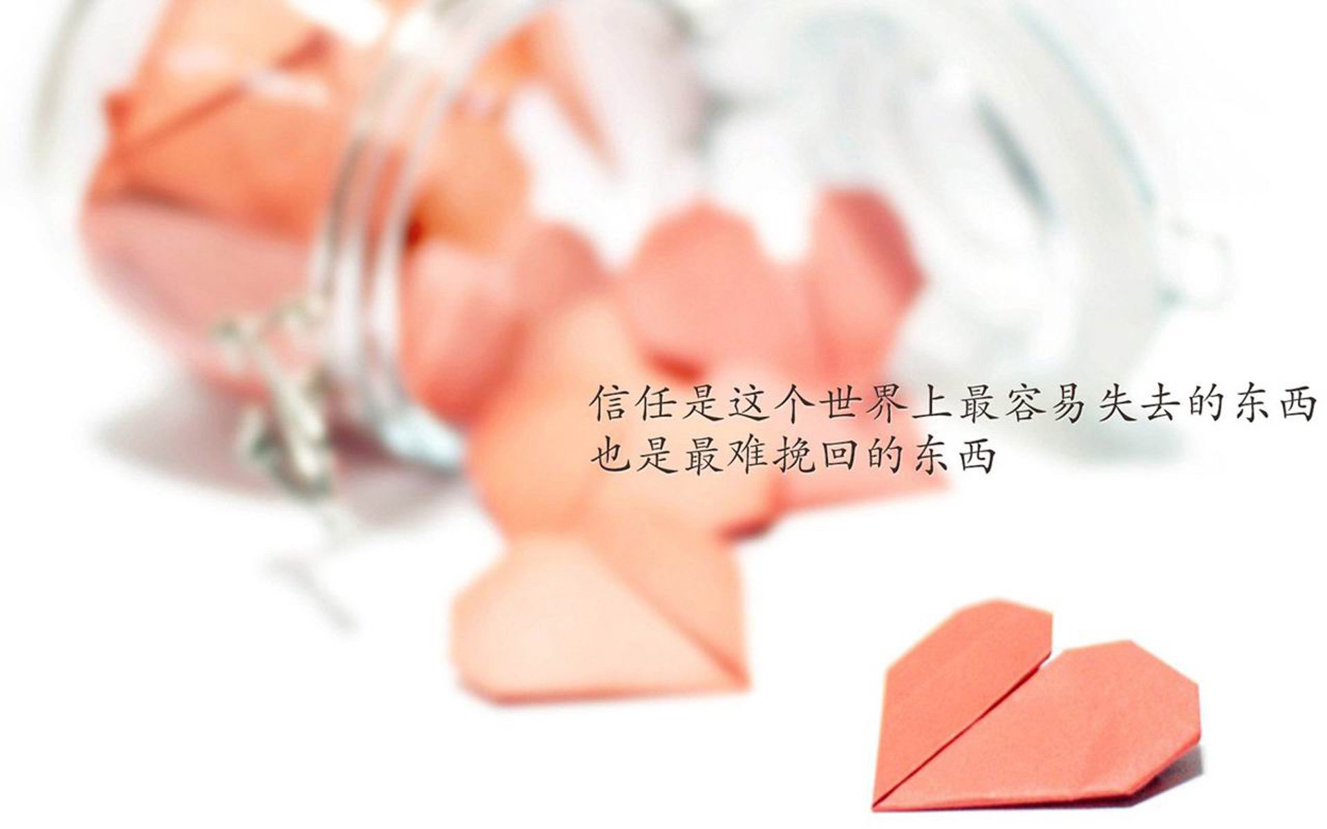 AC米兰主场大胜，赢得信心迎接下一场对决，ac米兰比赛集锦