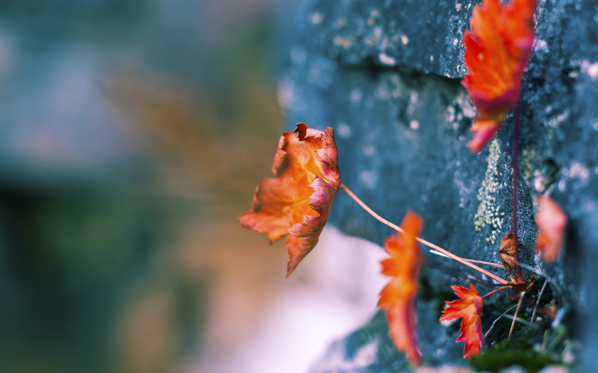 羽毛球比赛强强对话引爆关注,羽毛球比赛对战表