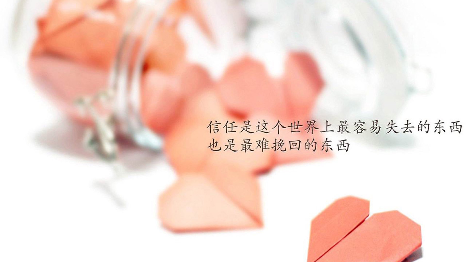 开云官网-“南非羚羊队的未来：萨尔·巴赫能否带队迎接辉煌？”