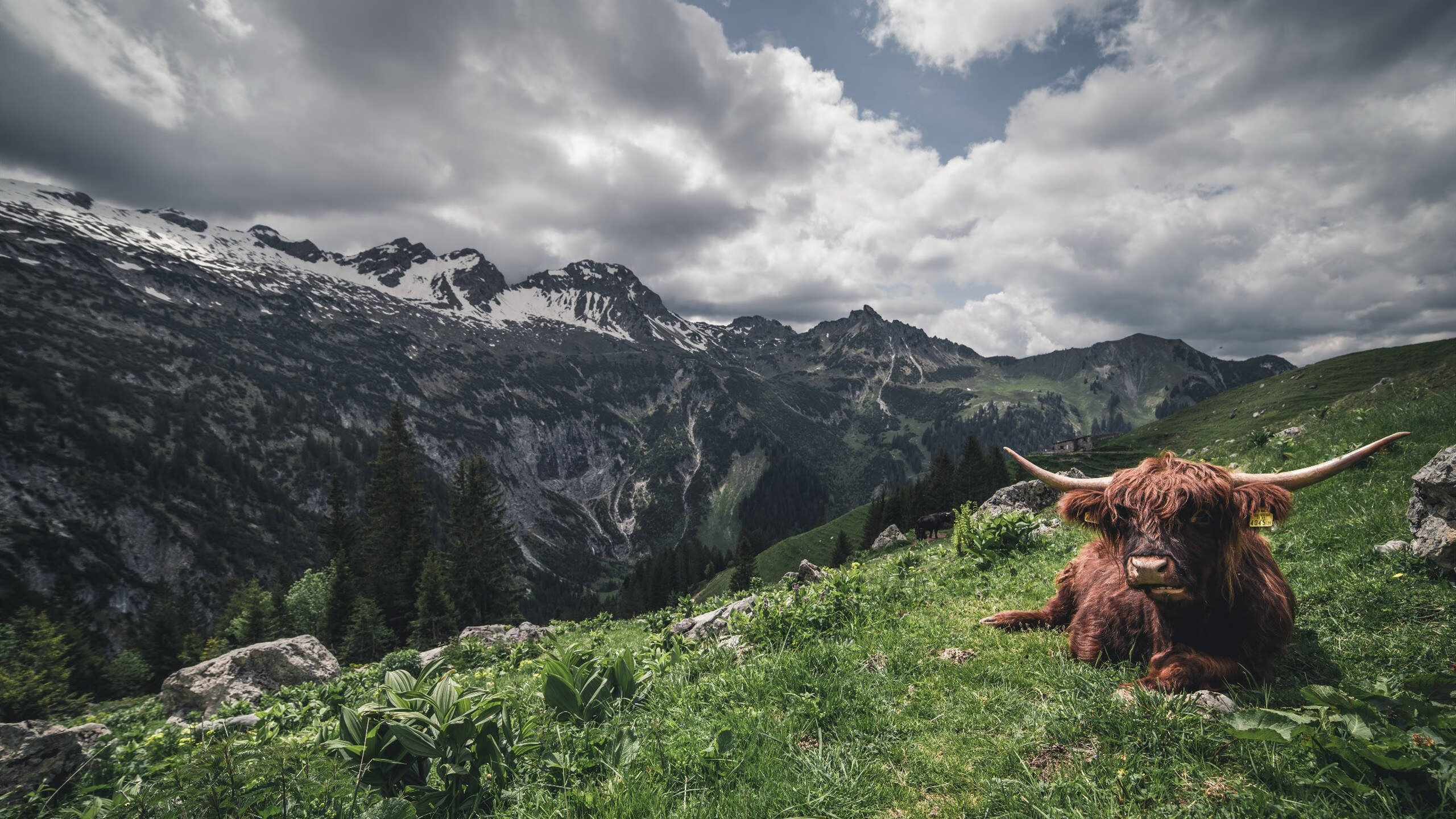 KAIYUN 中国大陆-塞尔维亚男篮在欧洲预赛中奋勇追击，争取奥运门票！，塞尔维亚男篮奥运预选赛