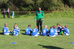 kaiyun体育综合-德甲战术大变：变化迅速，精彩纷呈，德甲赛制介绍