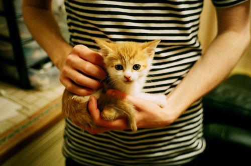 跳水初赛中立代表队A年轻选手脱颖而出，跳水中国队名单